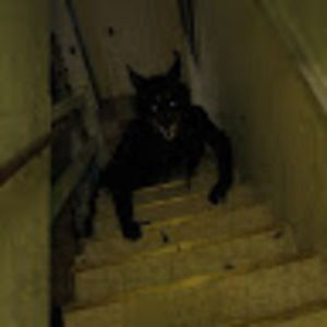 Meet your Posher, Ella